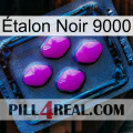Étalon Noir 9000 04